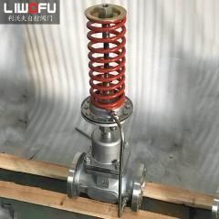 自力式壓力調節閥：科技引領，壓力控制新篇章